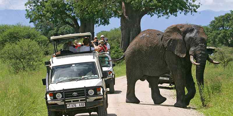 Lake Mburo National Park Lake Mburo National Park