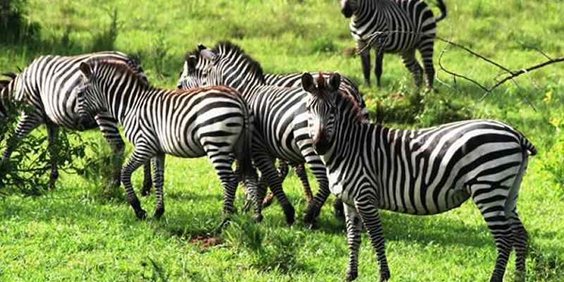 Kidepo National Park Kidepo National Park