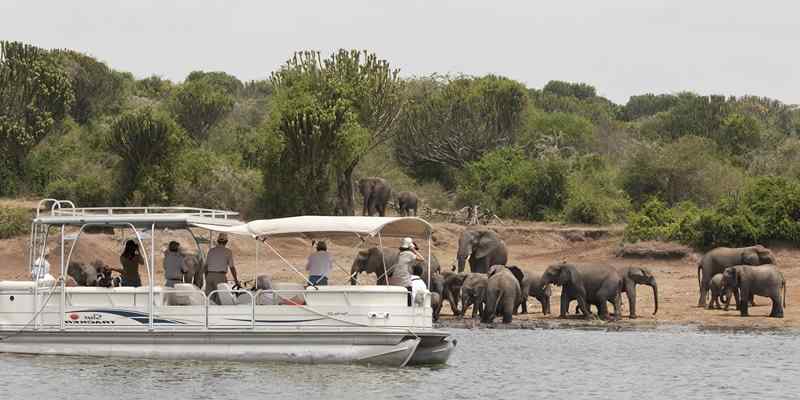 Walking Safaris and Canoeing, Queen Elizabeth National Park