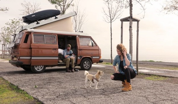 Are Pets Allowed in Rental Cars? Pets