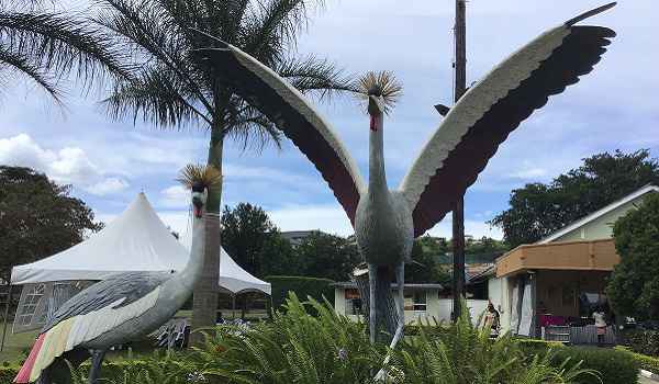 road trip, Best Meal Stopovers on a Road Trip in Uganda