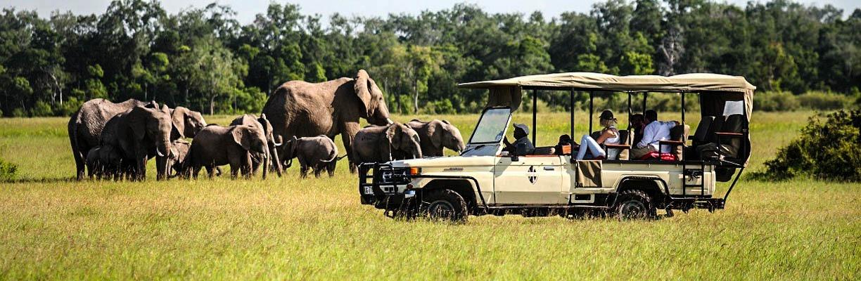 What To Do In Case Of A Flat Tire In The Jungle On Your Road Trip Uganda Flat Tire In The Jungle