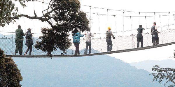 Nyungwe Forest National Park, Rwanda