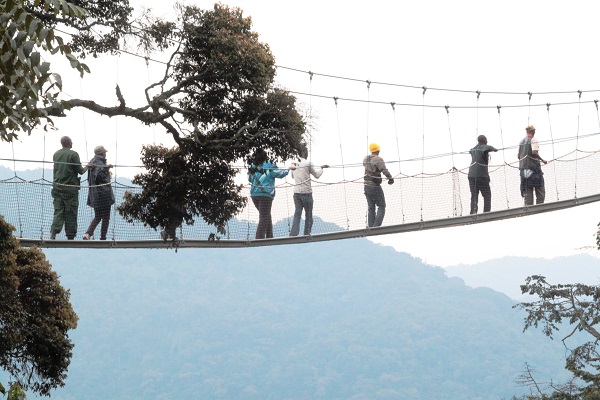 Nyungwe Forest National Park, Rwanda