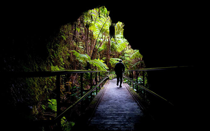 hiking Volcanoes National Park