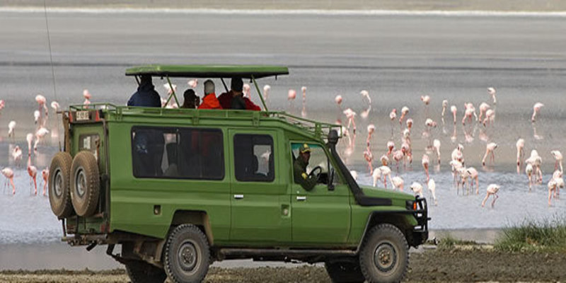 Car rental in Rwanda: Car Rental 4x4 self drive in Kigali