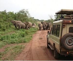 WHY OPT FOR CRYSTAL CAR HIRE