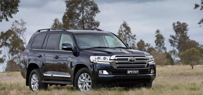 Pet-Friendly Rwanda Rentals – Car rental & Traveling with Dogs