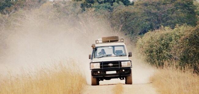 Best Way To Reach Mountain Gorillas