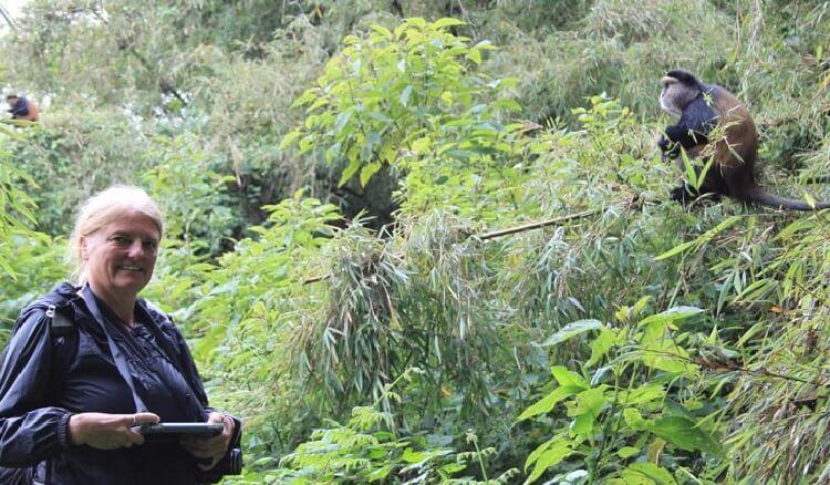 Self Drive in Volcanoes National Park