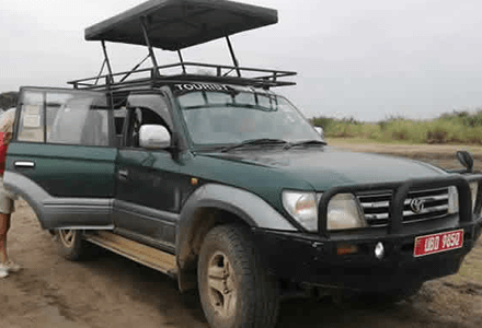Gorilla trekking car rental Rwanda:,Safari 4x4 hire Rwanda:,Kigali Camping Car Rental: Rooftop Tent Hire for Nature Trips in Rwanda Wedding Car Rental in Kigali: Elegant Car Hire in Rwanda Adventure Car Rental in Rwanda: Rooftop Tent Hire in Rwanda