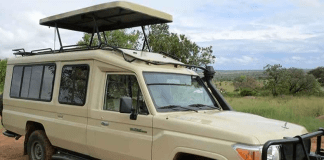 Car Rental in Rwanda: A Guide to Booking Cars Online in Kigali Car Rental in Rwanda: A Guide to Booking Cars Online in Kigali Safari Car Hire Rwanda | 4x4 Rental for Akagera & Volcanoes Rwanda Car Hire: Book Your Rooftop Tent Car Today in Kigali
