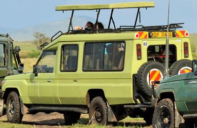 Tourist Car Rental Rwanda, Tourist Car Rental Rwanda: Safe Kigali Travel Vehicle GuideCorporate Car Hire Rwanda: Professional Kigali Business CarsCar rental in Rwanda: Luxury SUV Car Hire & VIP Car rental Volcanoes NP Car hire - Reliable Rwanda 4x4 car Rentals Family Car Hire Rwanda - Best 7-Seater car Rental in Kigali Car Rental in Rwanda Best 4x4 Car Rental in Rwanda for Safari, Kigali & Road Trips Top Rwanda Car Rental Companies – Easy Kigali Car hire Kigali City Car Hire Car Rental in Rwanda: Affordable Self-Drive Options in Rwanda Special Event Car Hire in RwandaNational Park Car Rental RoofTop Tent Cars Hire Why Hire a 4x4 for Your Rwanda Safari? Car Rental in Kigali: Rooftop Tent Hire for Safaris in Rwanda Safari Car Hire in Kigali: Rooftop Tent Rental in Rwanda's Wild