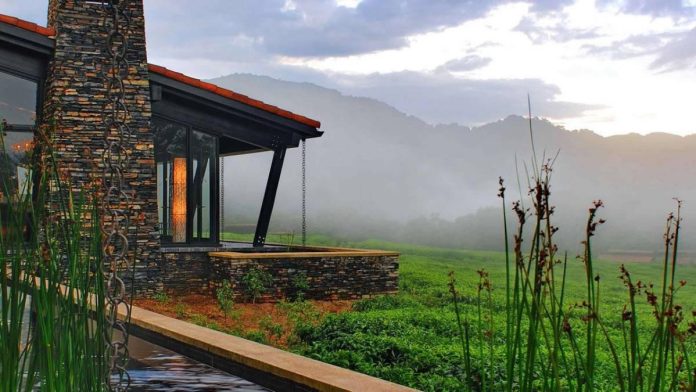 -Nyungwe-National-Park