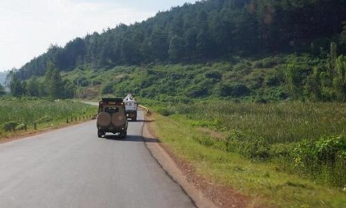 Car hire Nyungwe National Park,hire in-Rwanda a Car Long-Term Car Hire Solutions Rwandan Road Conditions Guide: Safe Self-Drive in Rwanda