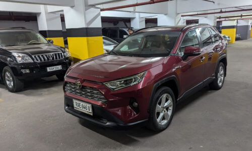 Chimpanzee Trekking Accommodation Rwanda – Nyungwe Forest