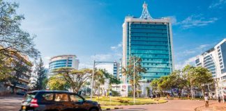 Car rental in Rwanda: Affordable 4×4 Car Hire for Gorilla Trekking Car rental in Rwanda Rwanda Mud Season Car Rental - Best Tires in Rwanda for Car Rentals Rwanda Executive car rental – Kigali 4X4 car Rental with a Rooftent Self-Drive vs. Chauffeur Car Rental Budget Car Hire Rwanda - How to Rent a Car for Under $30 Daily Affordable Long Term Car Rental in Rwanda | SUV & 4x4 car Hire Affordable Car Rental in Rwanda for Cycling World Champion Fans Car Rental in Rwanda | Kigali Self Drive, Chauffeur & SUV Hire Best Way to Rent a Car for a Road Trip in Rwanda & Best Kigali car hire Self-Drive Car Hire Rwanda – No Hidden Fees & Easy car hire Luxury Car Rental Rwanda Rent a Car in Kigali City Same-Day Car Hire Rwanda 4x4 Kigali car Rental: Off-Road Car rental in Rwanda Best SUV for rent in Rwanda: Top car rental in Kigali Executive SUV Rental: Professional Rwanda Car rental 4x4 Car Rental Rwanda – Top Companies & Safari Vehicles Rwanda Car Hire Tips Premium 4x4 Hire: Top 4x4 Car Rental Rwanda