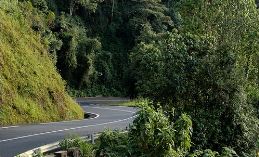 Kigali to Nyungwe Forest: