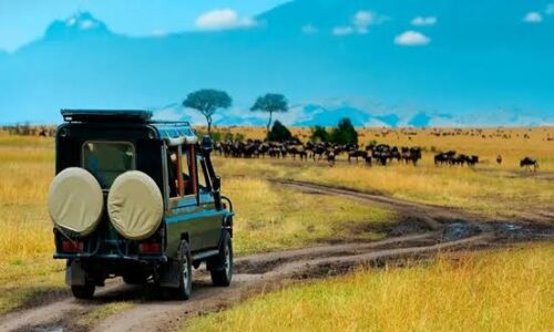Rwanda Scenic Road Trip: